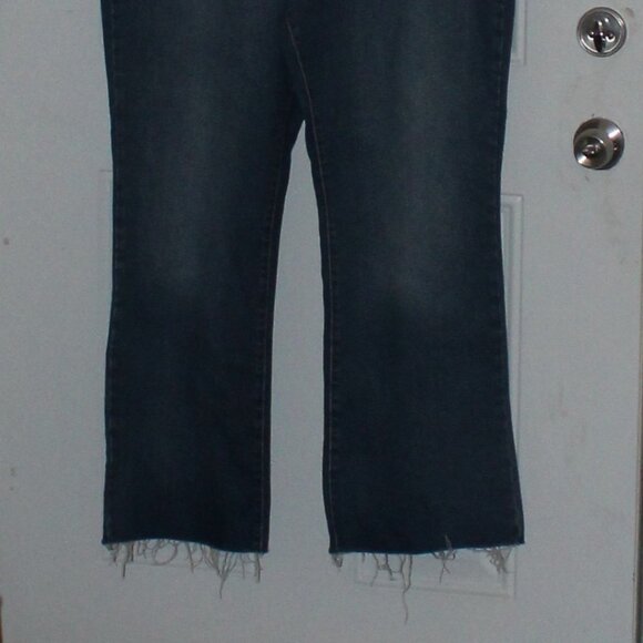 Terra & Sky Flare Leg Denim Jeans Frayed Hem 22W - Picture 2 of 8